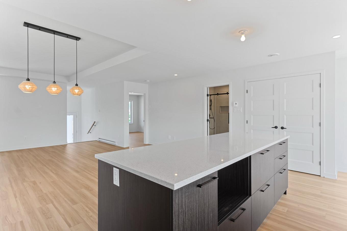 Kitchen - 166Z Rue Du Quai, Saint-Louis-De-Gonzague, QC - Indoor