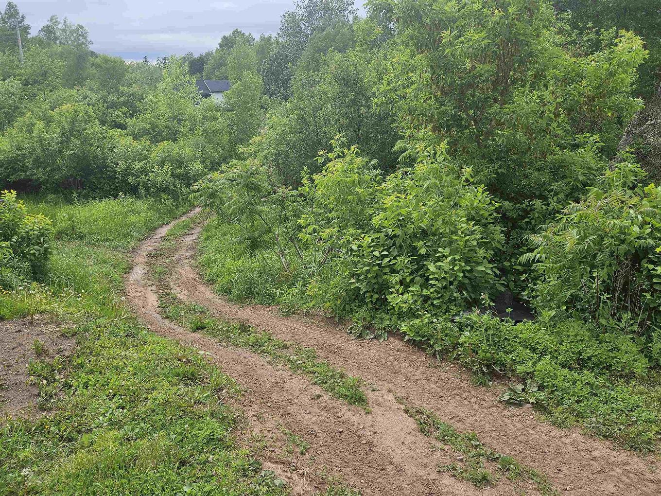 359 Foundry Street, Oxford, NS