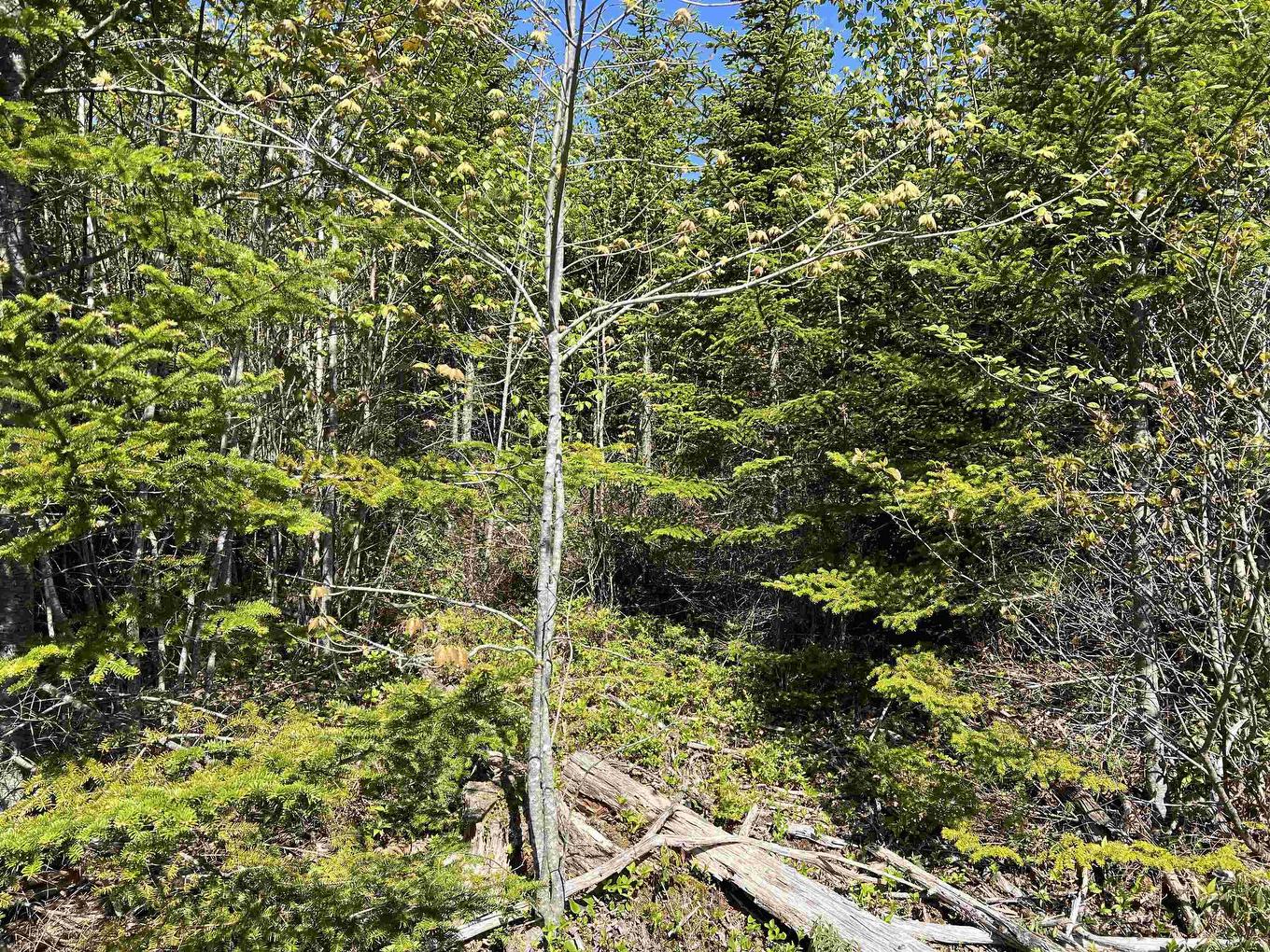 Lot 2A Highway 329, Deep Cove, NS