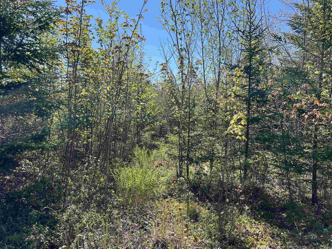Lot 2A Highway 329, Deep Cove, NS