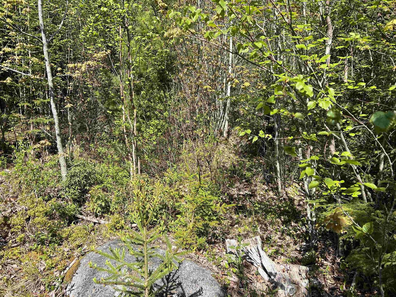 Lot 2A Highway 329, Deep Cove, NS