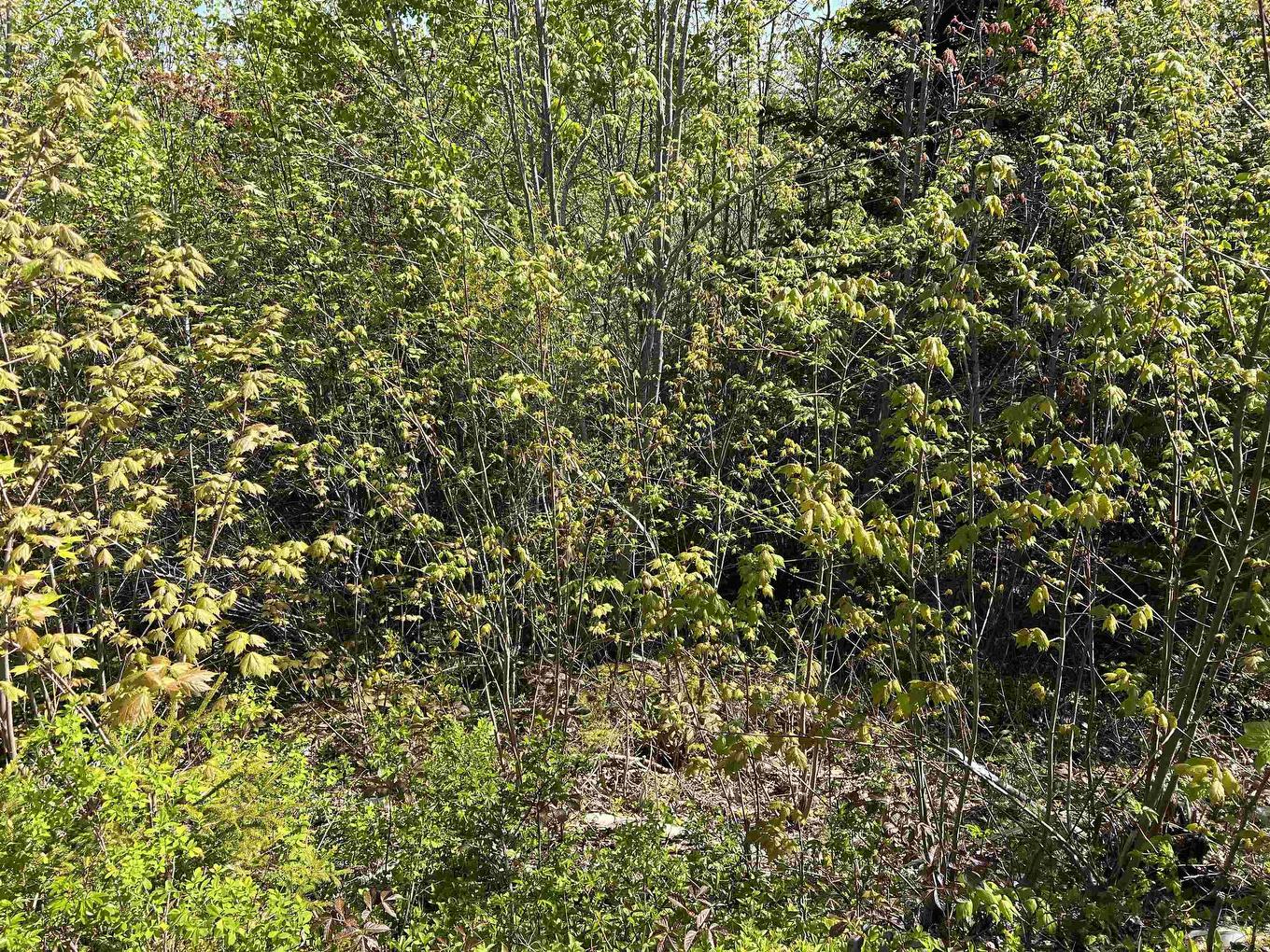 Lot 2A Highway 329, Deep Cove, NS