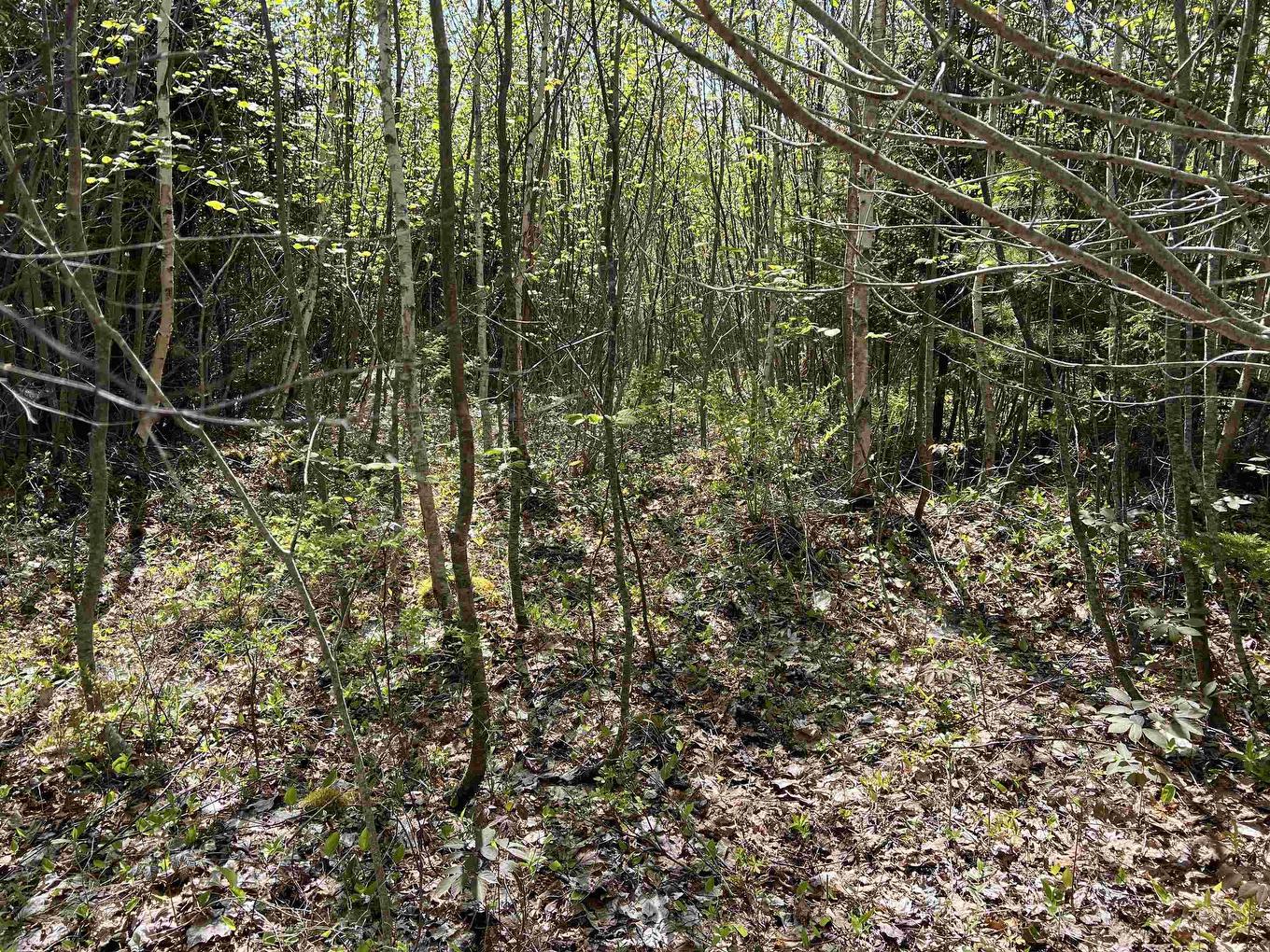 Lot 2A Highway 329, Deep Cove, NS