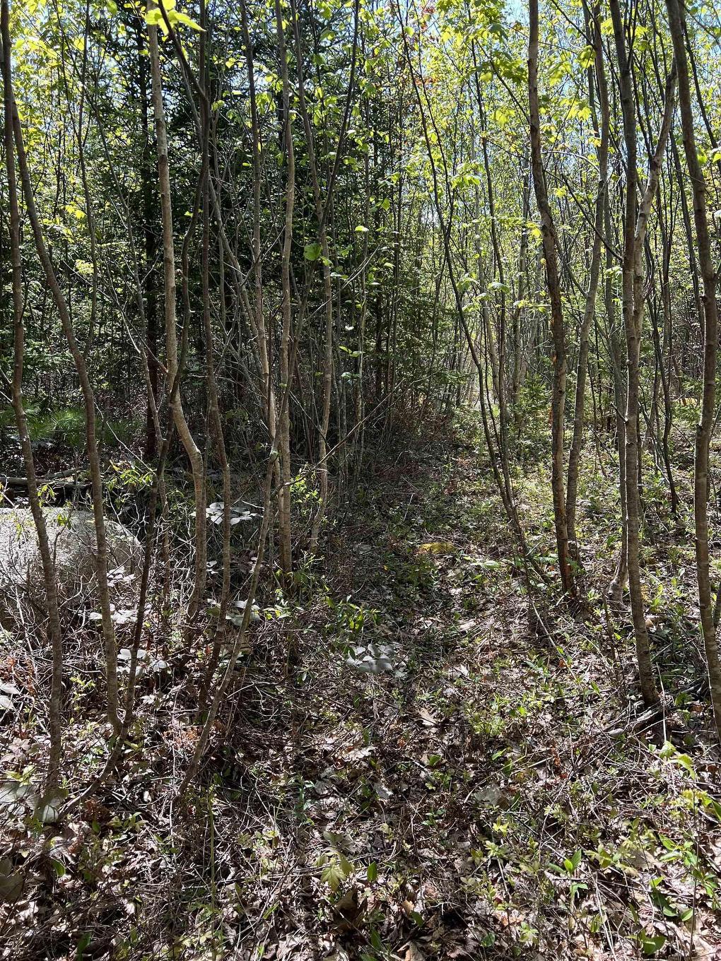 Lot 2A Highway 329, Deep Cove, NS