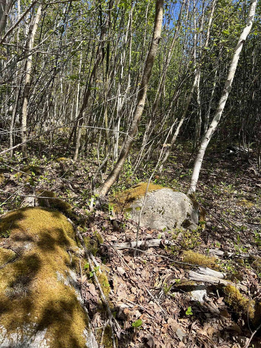 Lot 2A Highway 329, Deep Cove, NS