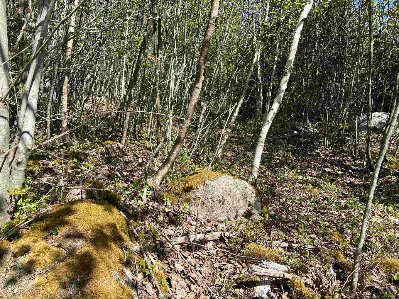 Lot 2A Highway 329, Deep Cove, NS