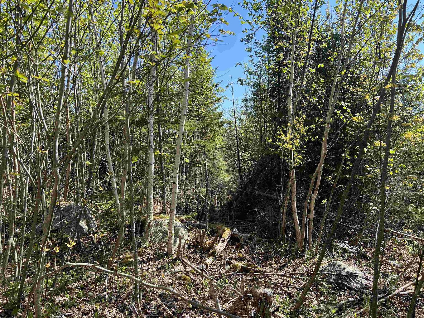 Lot 2A Highway 329, Deep Cove, NS