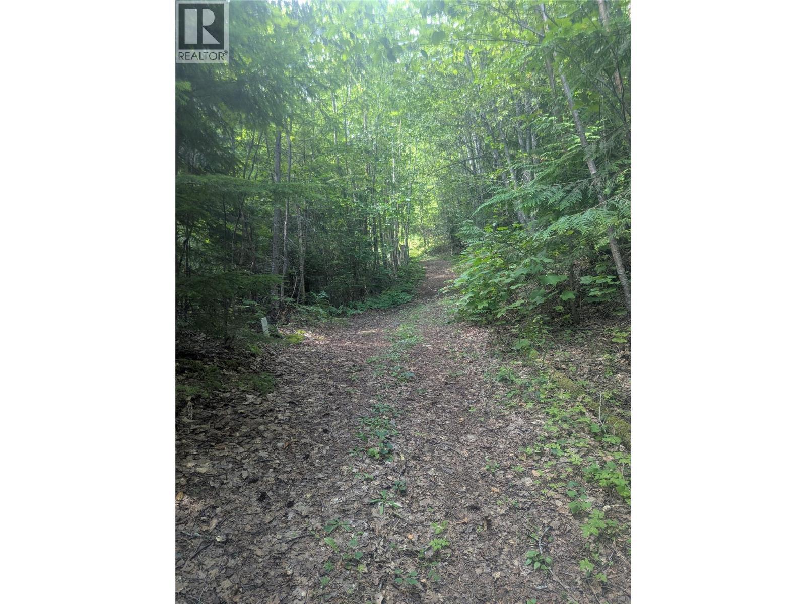 Road to Building SIte - Lot 2 Whiskey Pointe, Revelstoke, BC