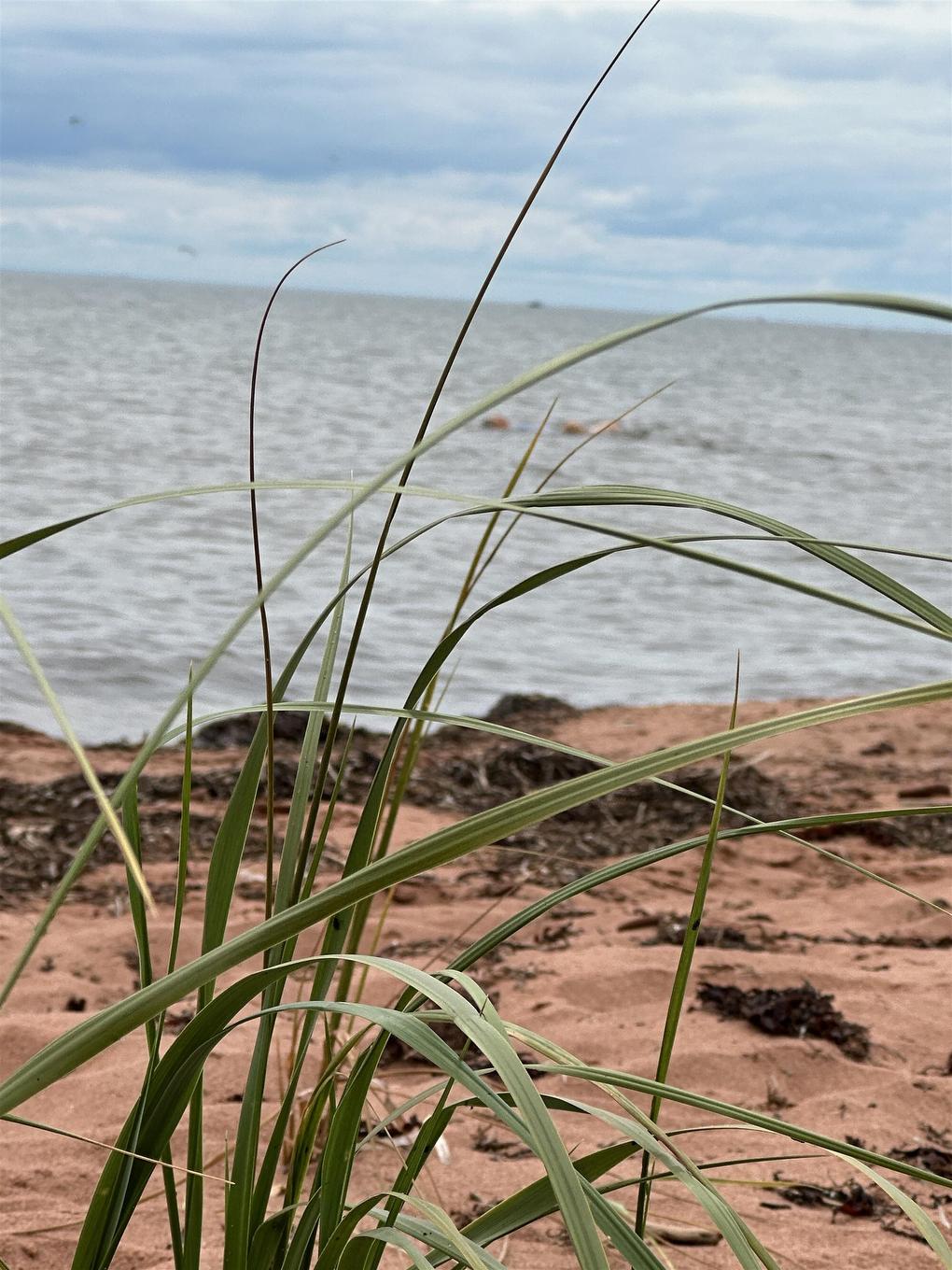 Lot 14 Gamble Court, Hampton, PE