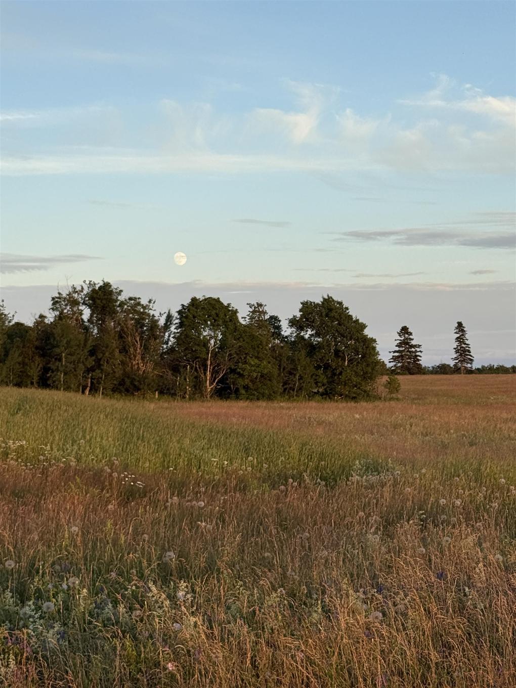 Lot 14 Gamble Court, Hampton, PE