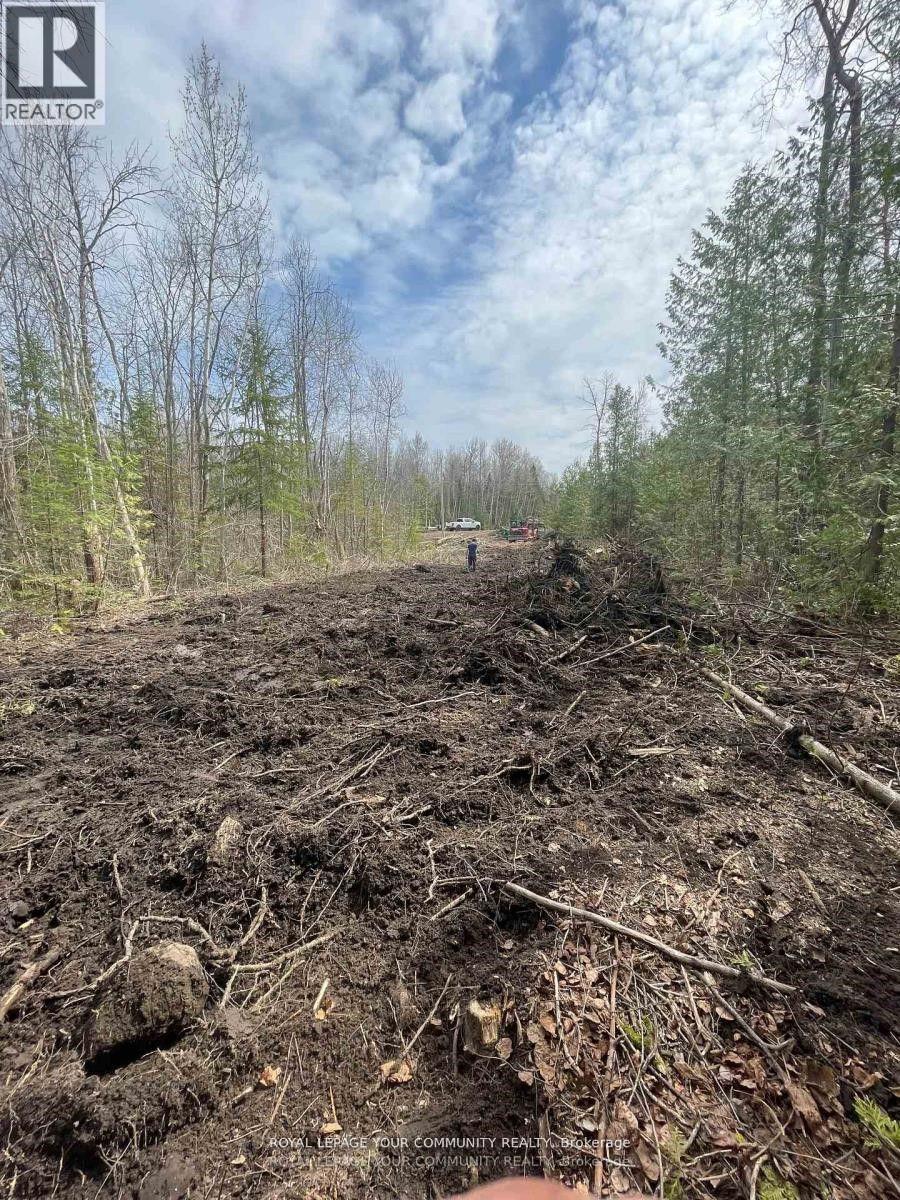 831 Centennial Park, Kawartha Lakes, ON