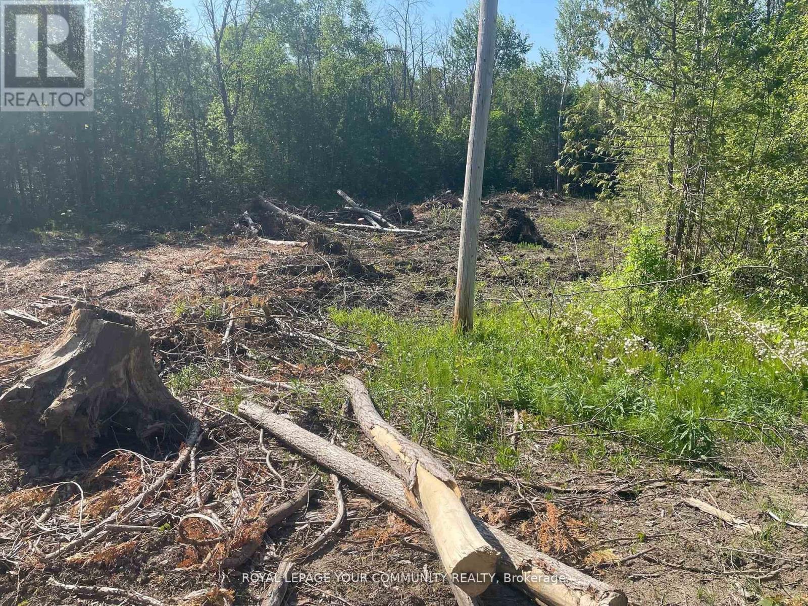 831 Centennial Park, Kawartha Lakes, ON