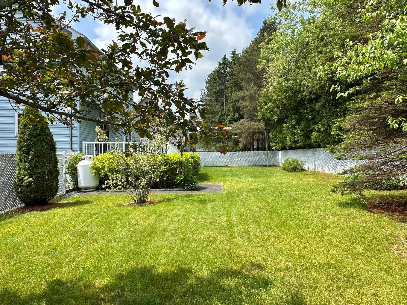 Cour - 2365 Rue Guenette, Val-David, QC - Outdoor