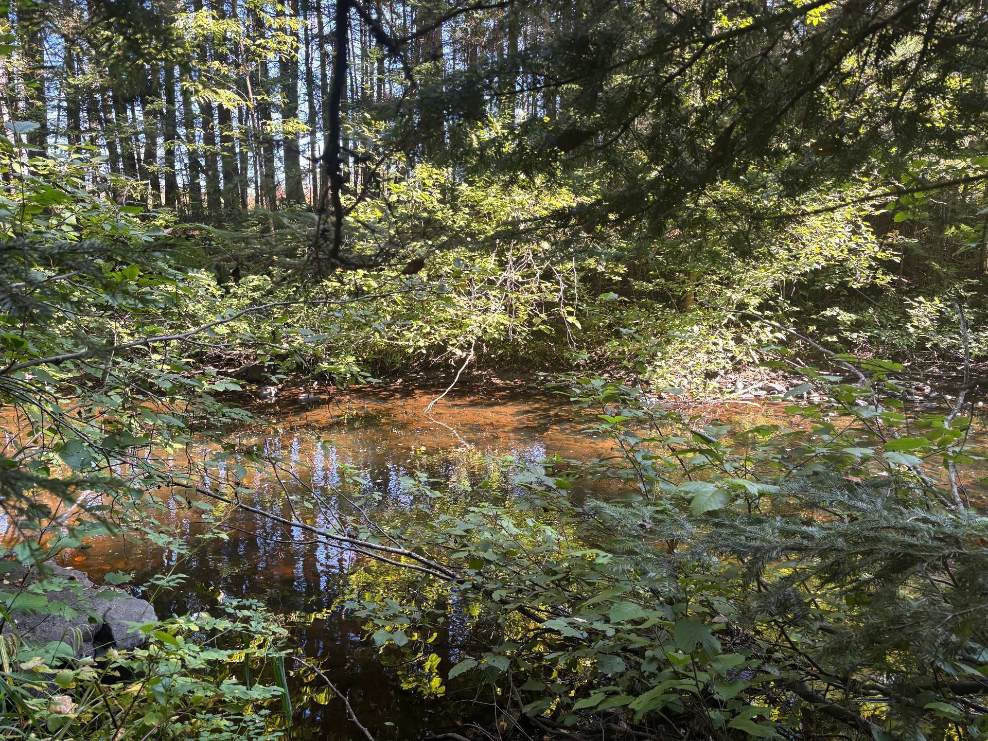 Bord de l'eau - Rang 2, Saint-Bruno-De-Kamouraska, QC