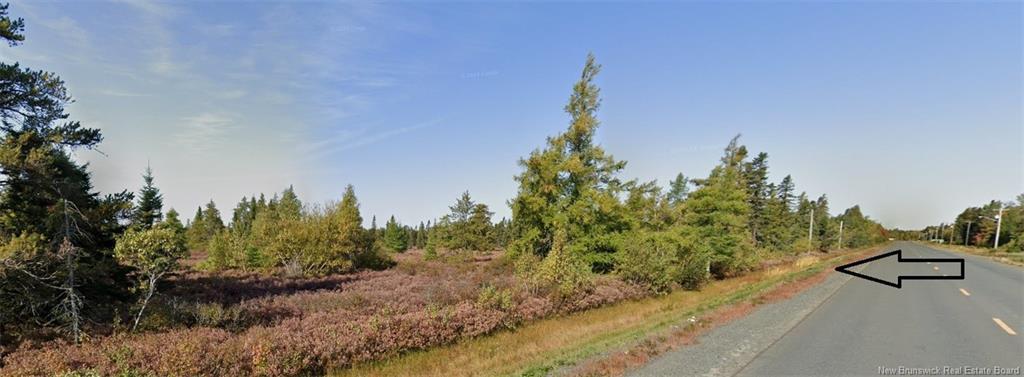 Lot Rte 117, Hardwicke, NB
