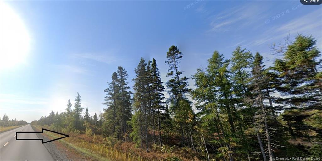 Lot Rte 117, Hardwicke, NB