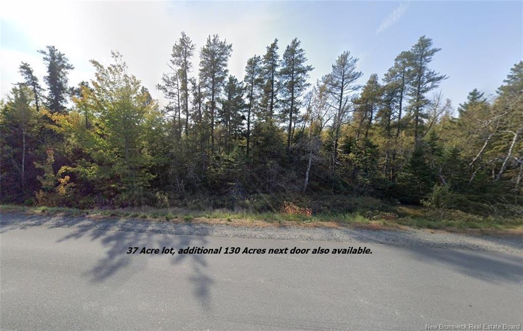 Lot Rte 117 Hardwicke, Hardwicke, NB