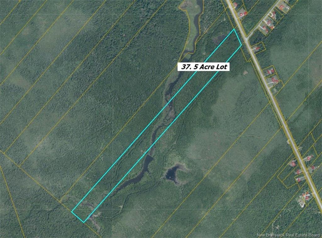 Lot Rte 117 Hardwicke, Hardwicke, NB