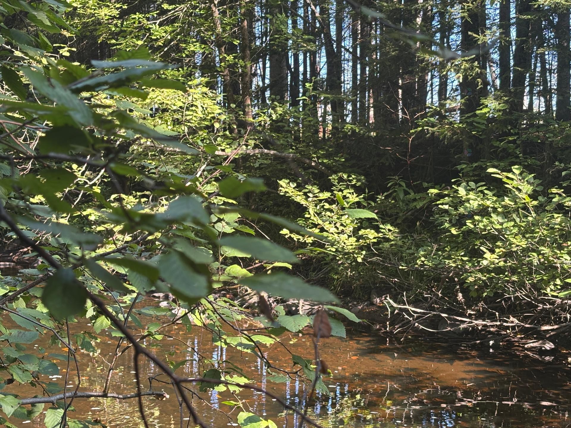 Bord de l'eau - Rang 2, Saint-Bruno-De-Kamouraska, QC