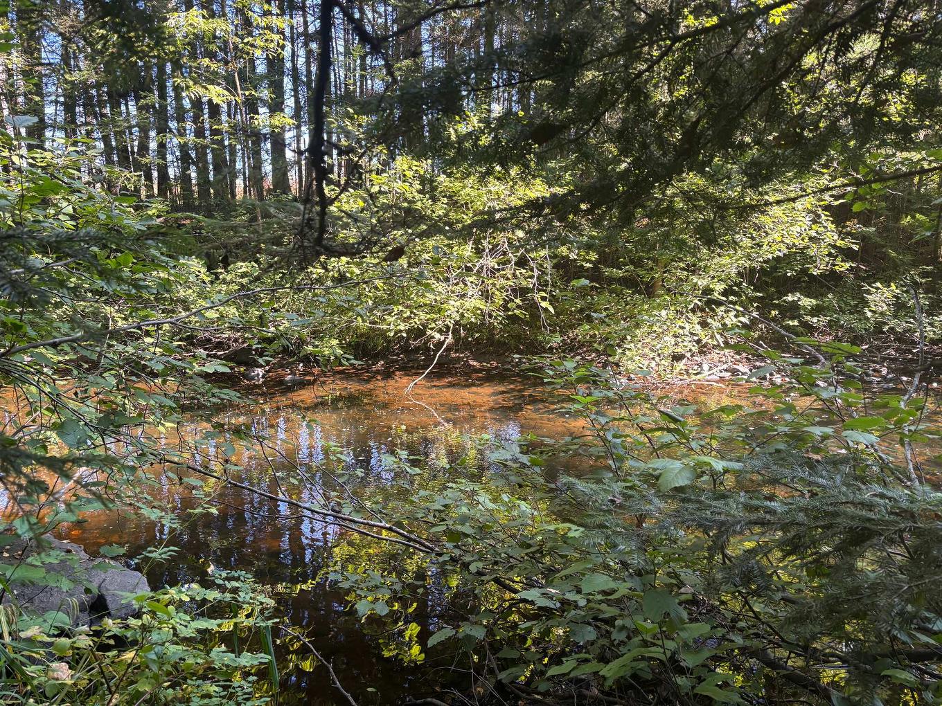 Bord de l'eau - Rang 2, Saint-Bruno-De-Kamouraska, QC