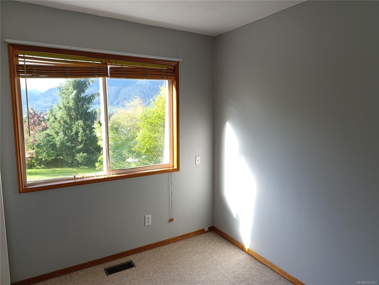 1203 Maquinna Ave, Port Alice, BC