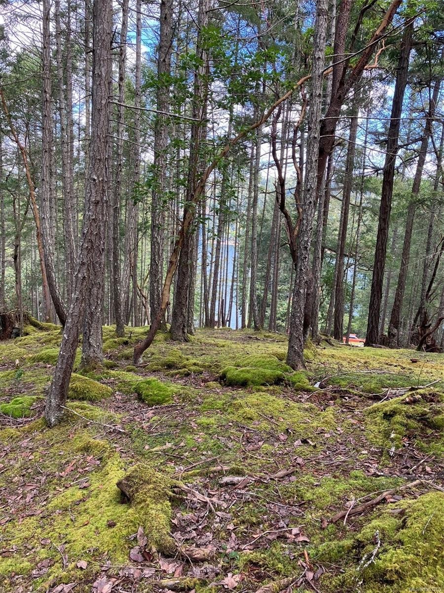 228 Ling Cod Lane, Mudge Island, BC