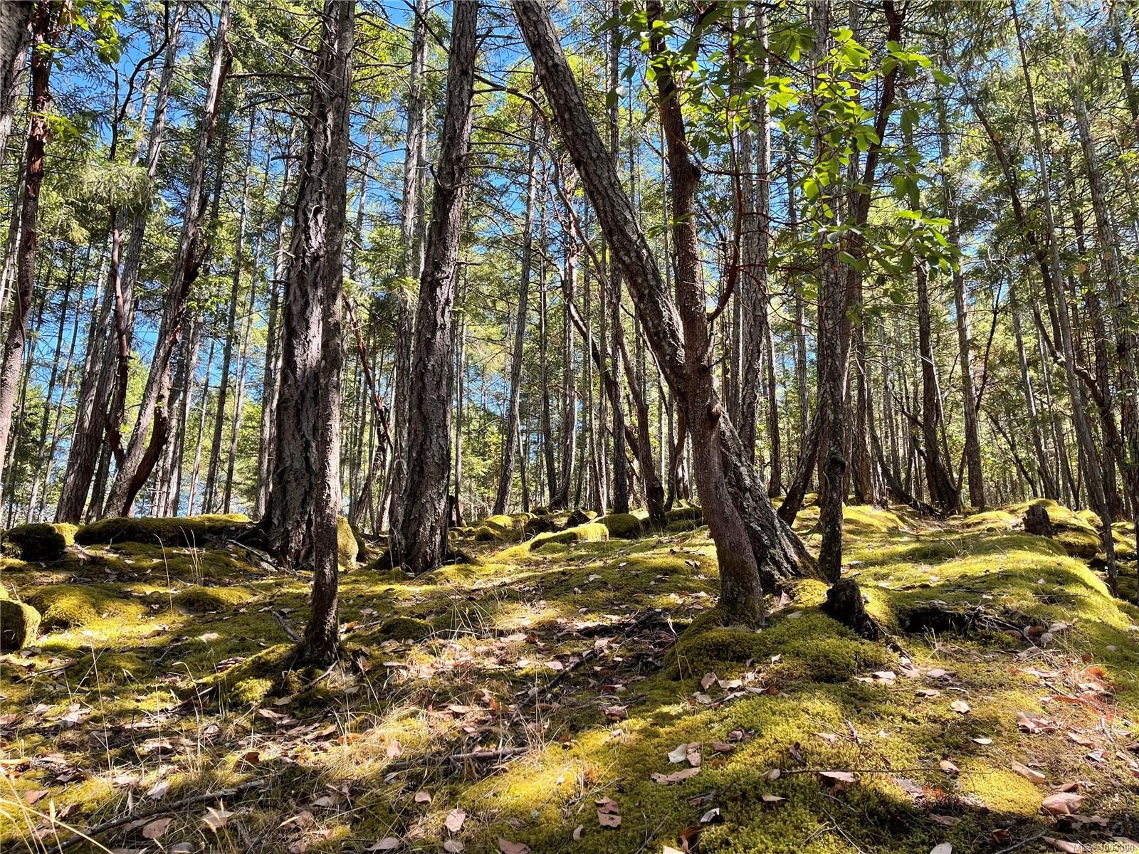 228 Ling Cod Lane, Mudge Island, BC