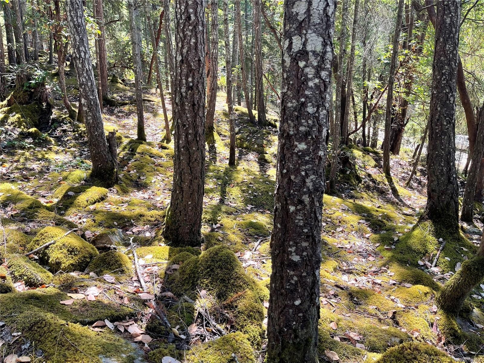 228 Ling Cod Lane, Mudge Island, BC