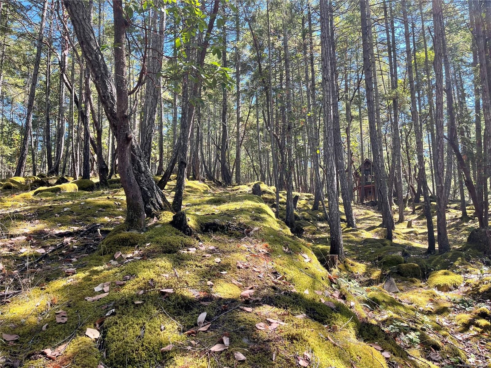 228 Ling Cod Lane, Mudge Island, BC