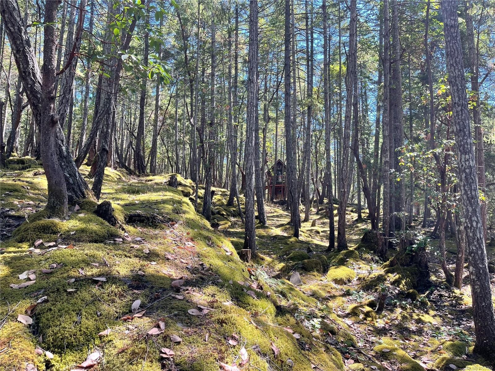 228 Ling Cod Lane, Mudge Island, BC