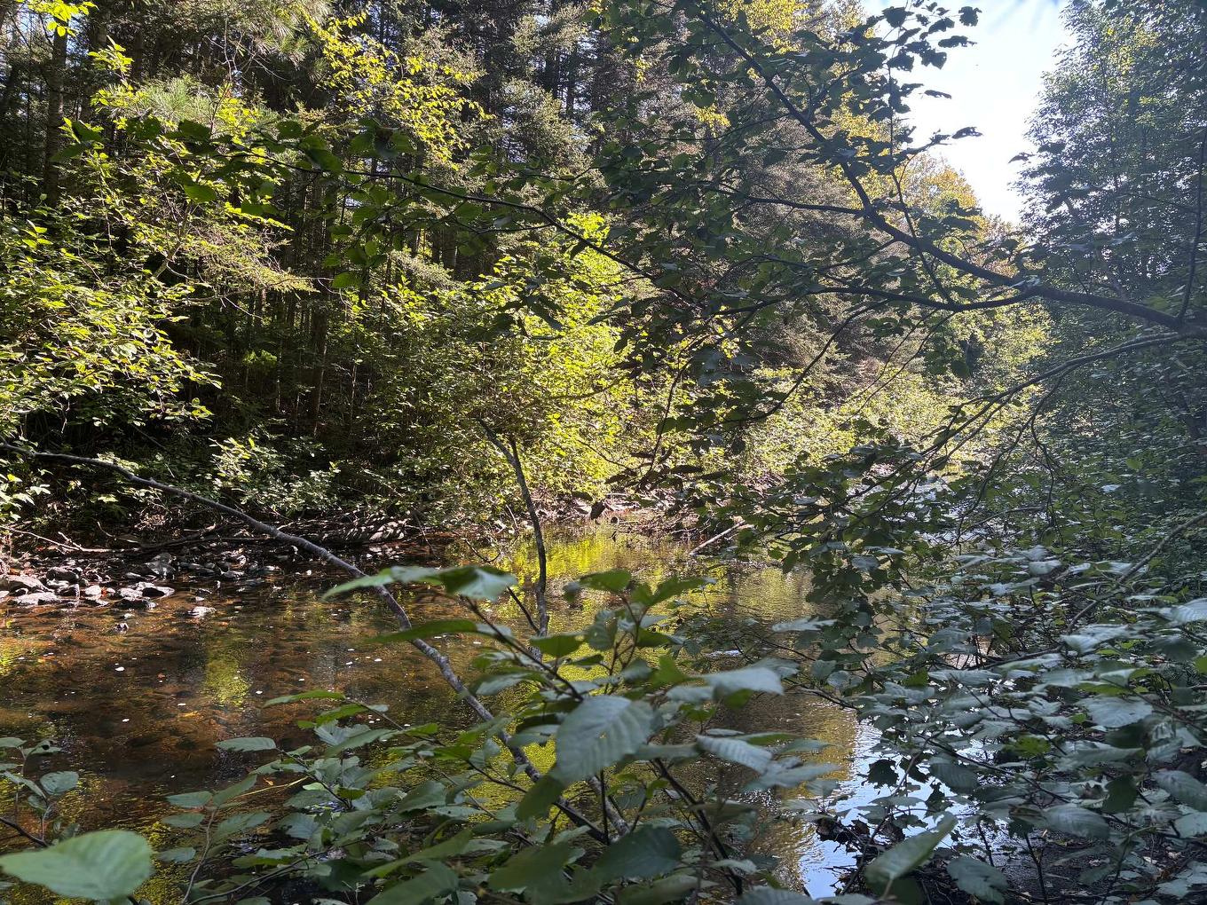Bord de l'eau - Rang 2, Saint-Bruno-De-Kamouraska, QC