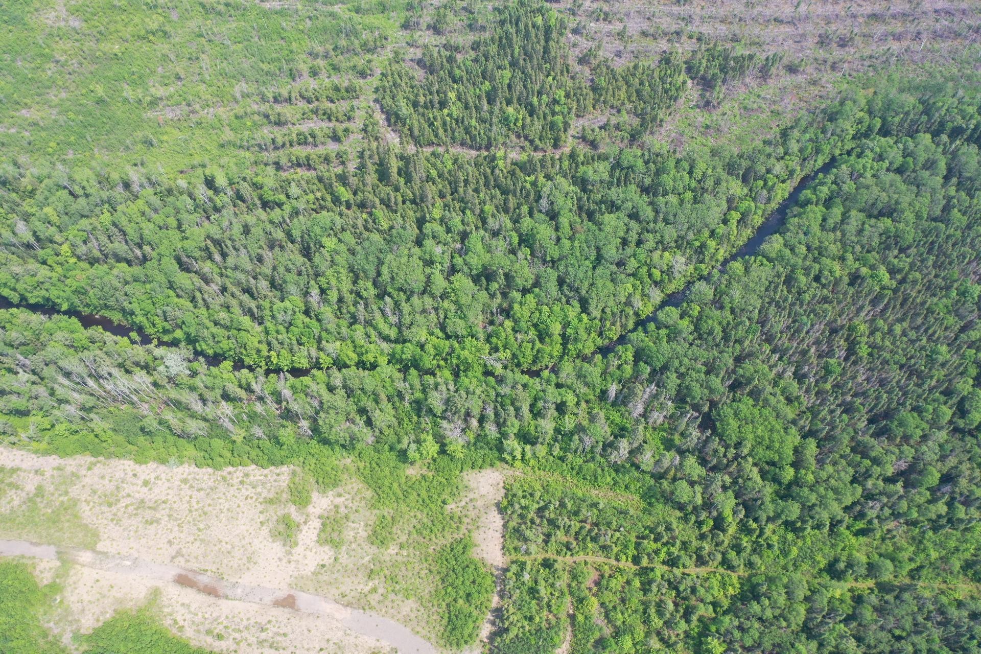 Terre/Terrain - Rang 2, Saint-Bruno-De-Kamouraska, QC