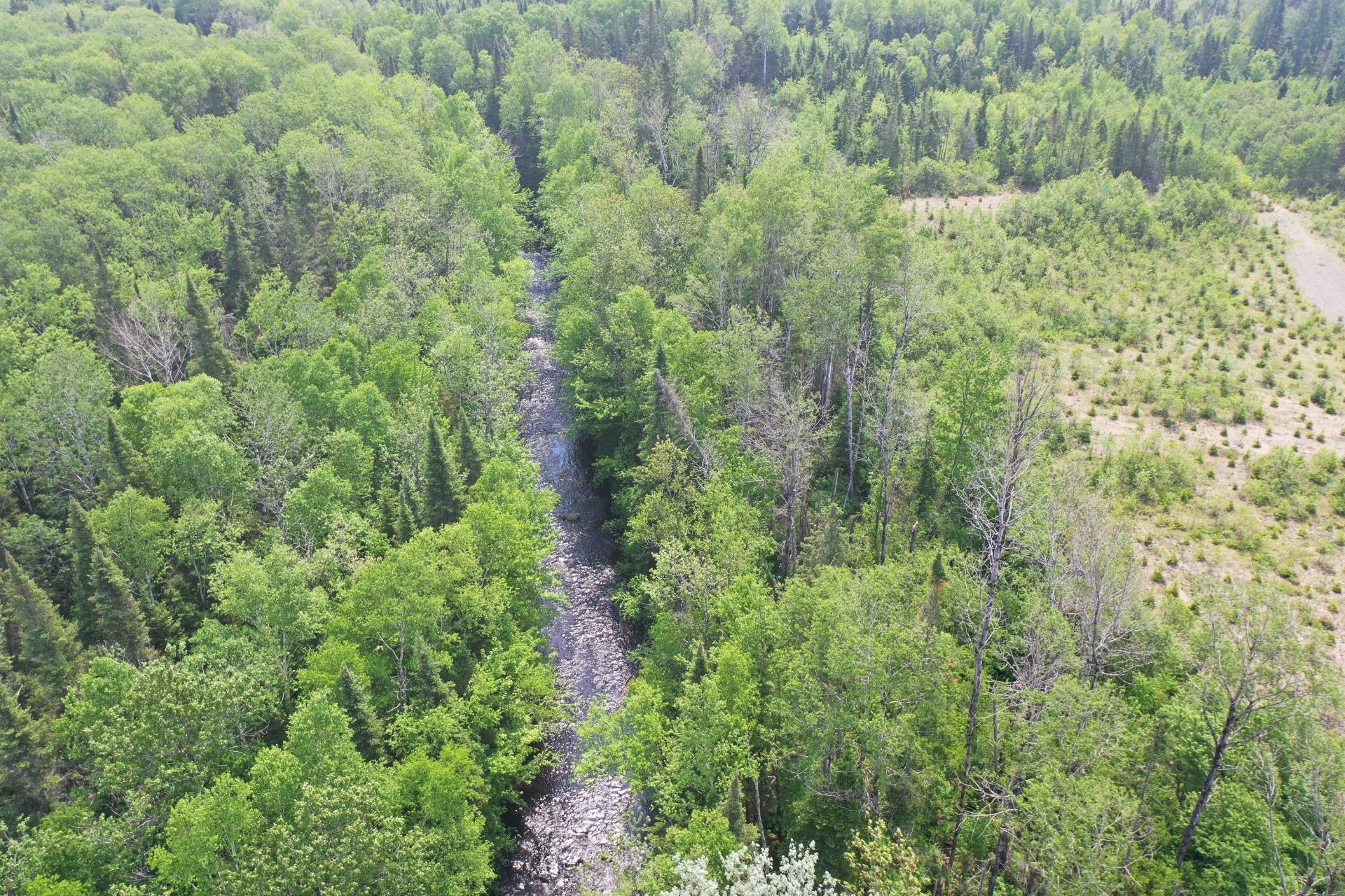 Terre/Terrain - Rang 2, Saint-Bruno-De-Kamouraska, QC