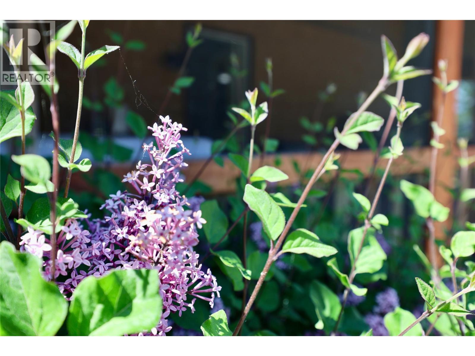 3049 95 Highway, Golden, BC - Other