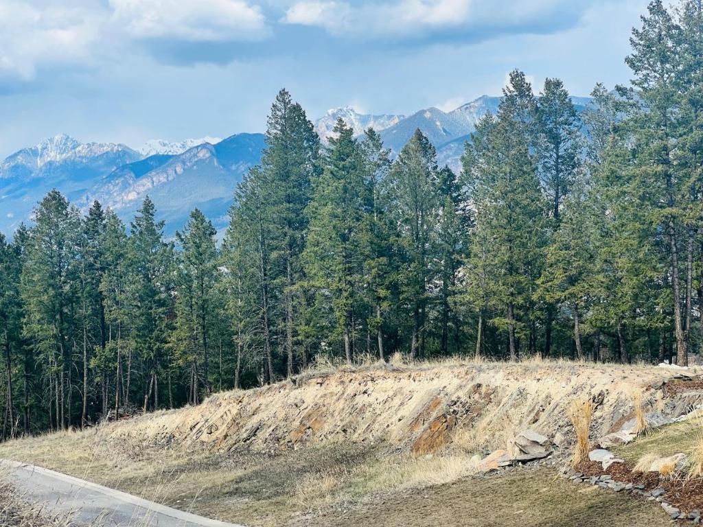 Lot 48 Pine Ridge Mountain Lane, Invermere, BC - Outdoor With View