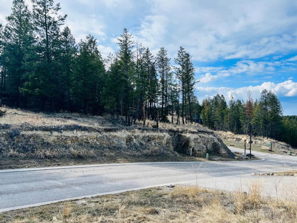 Lot 48 Pine Ridge Mountain Lane, Invermere, BC - Outdoor With View