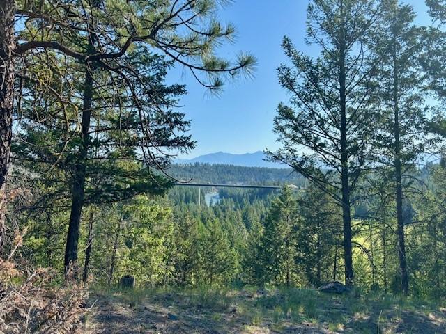 136 Plateau Place, Cranbrook, BC - Outdoor With View