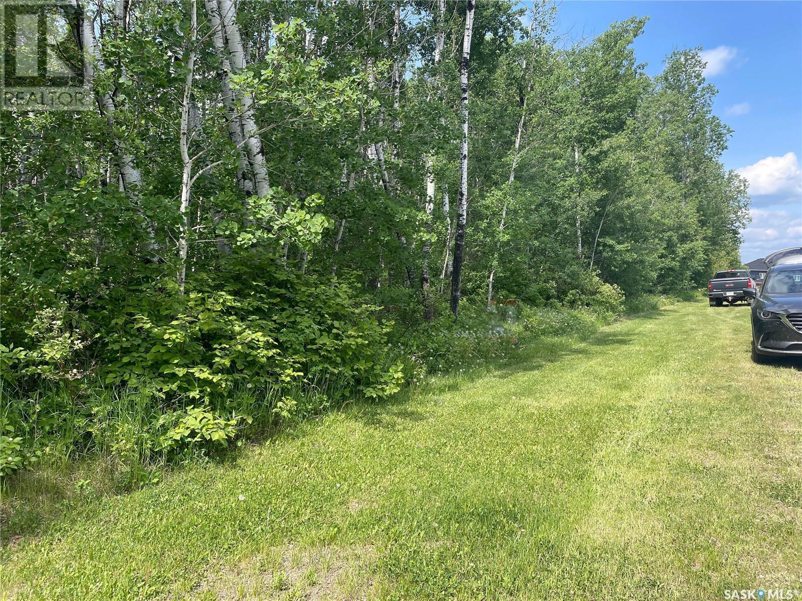 8 Fresno Street, Big River Rm No. 555, SK