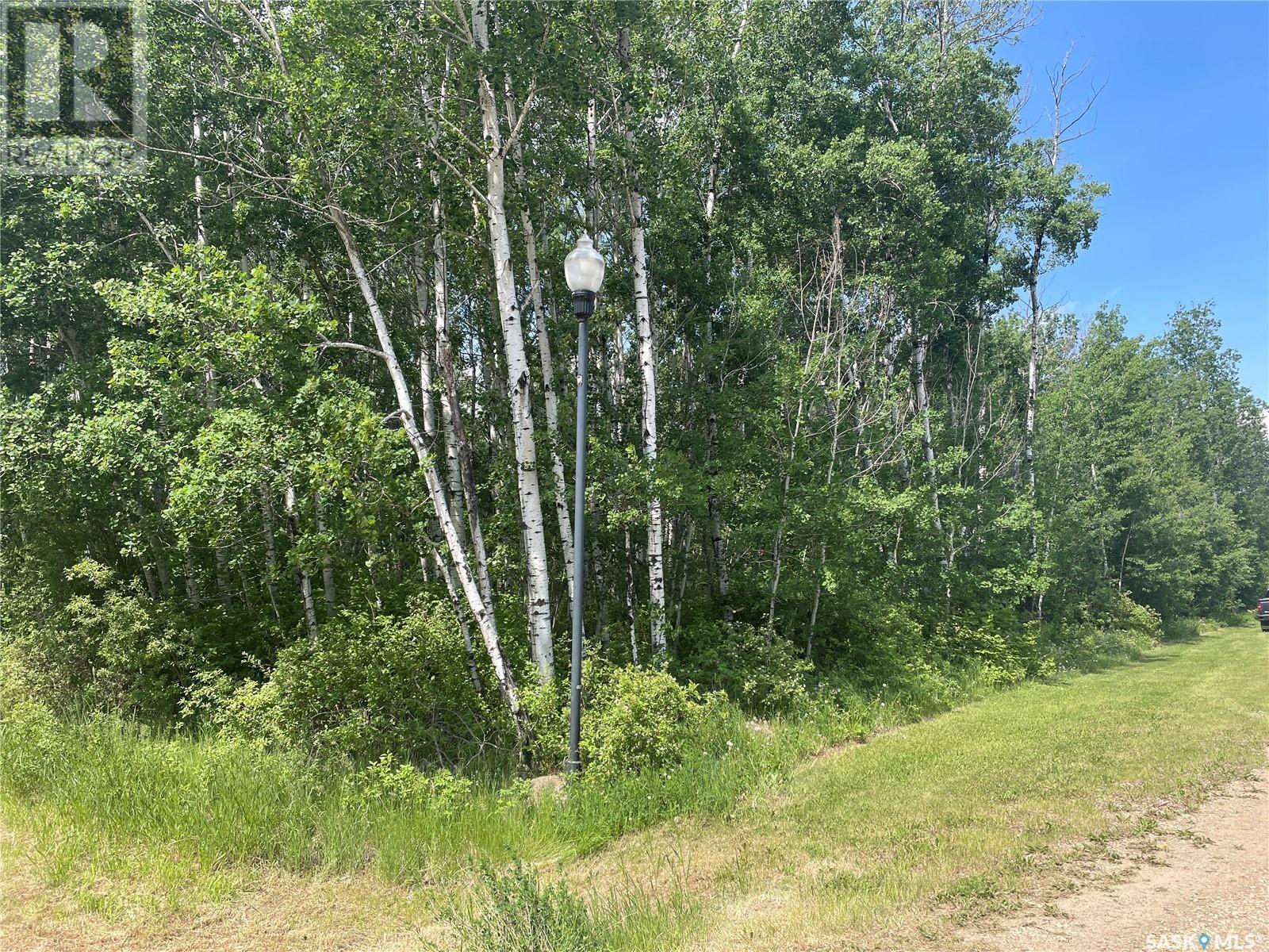 8 Fresno Street, Big River Rm No. 555, SK