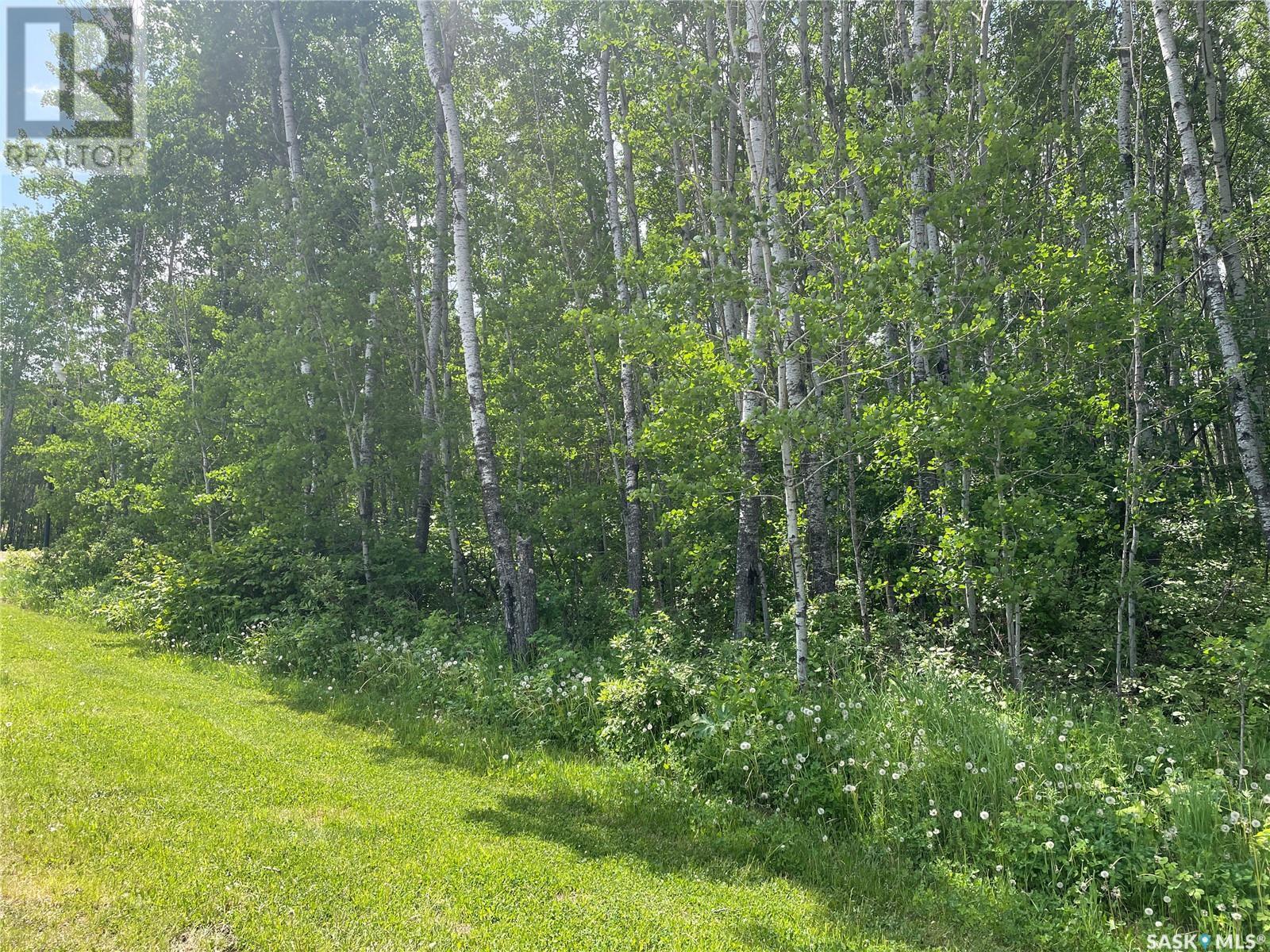 8 Fresno Street, Big River Rm No. 555, SK