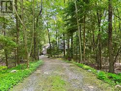 A completely private waterfront property. -