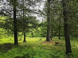 Ch. Lamoureux Sainte-Julienne, QC J0K 2T0