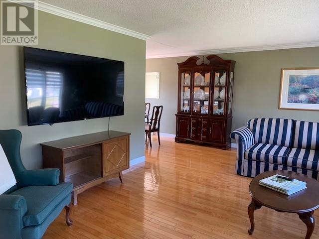 4 Pilley'S Island Road, Robert'S Arm, NL - Indoor Photo Showing Living Room