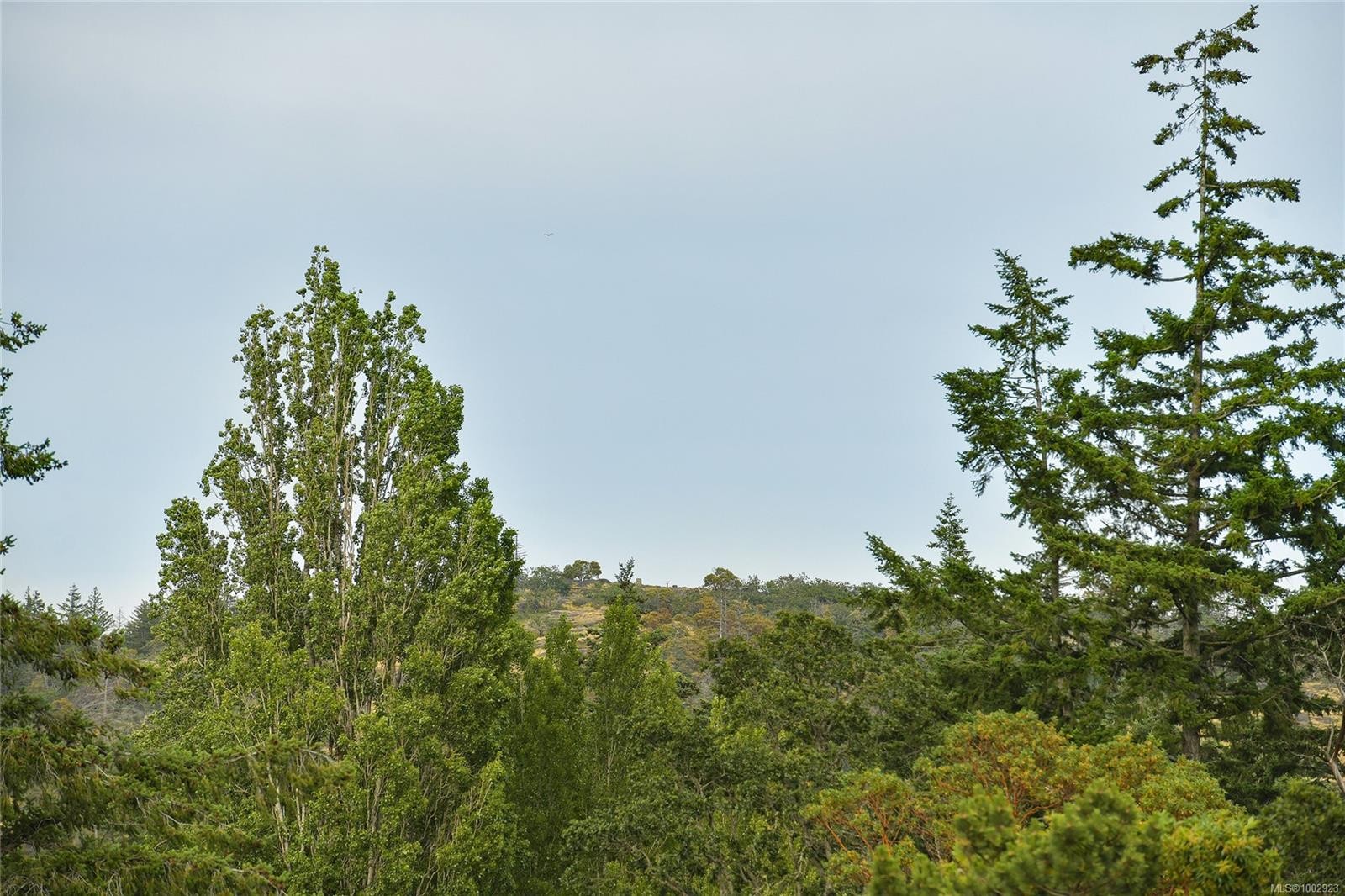 409-2629 Millstream Rd, Langford, BC - Outdoor With View