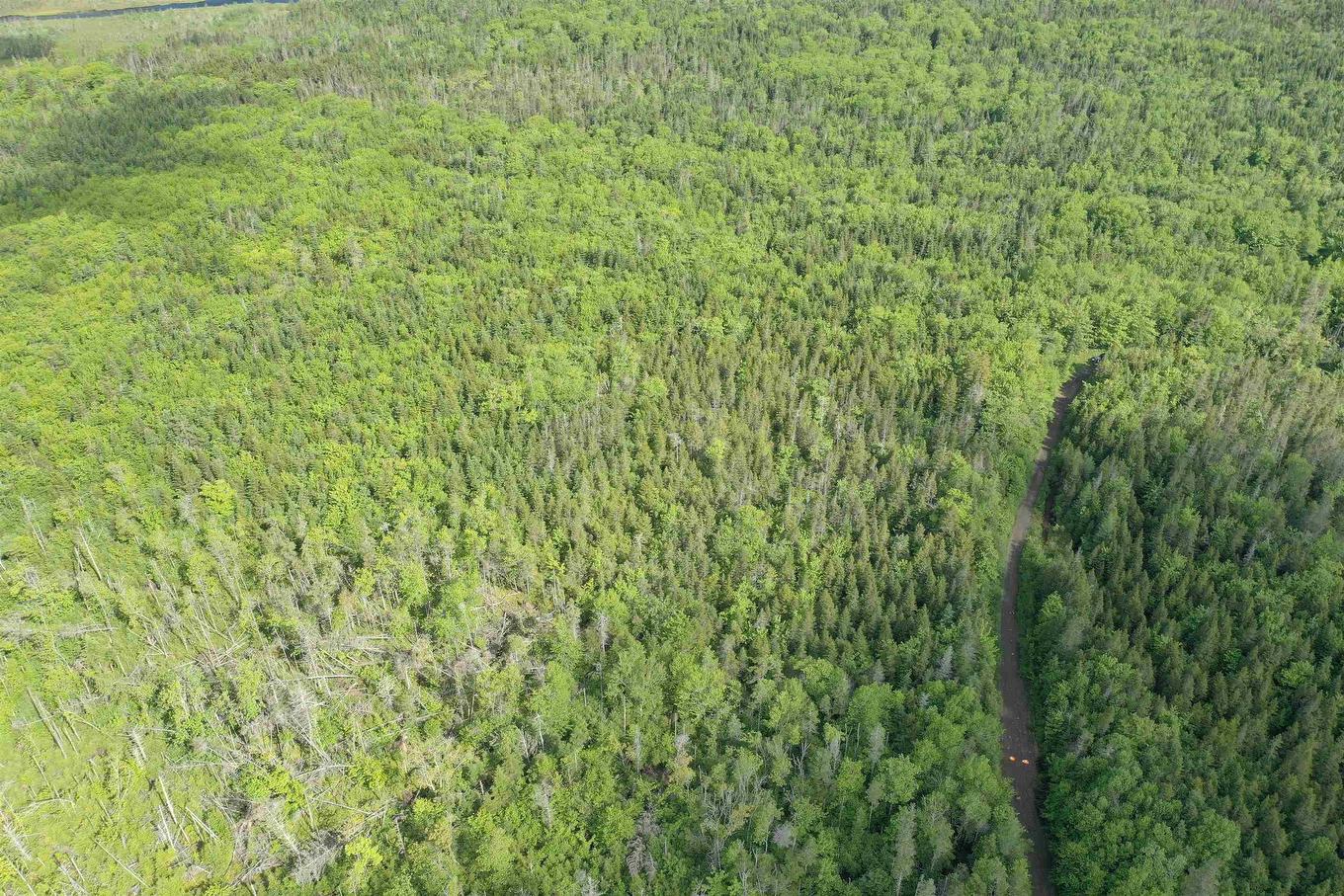 Grant 16738 Moser River North Road, Moser River, NS