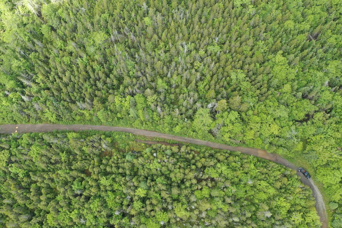 Grant 16738 Moser River North Road, Moser River, NS