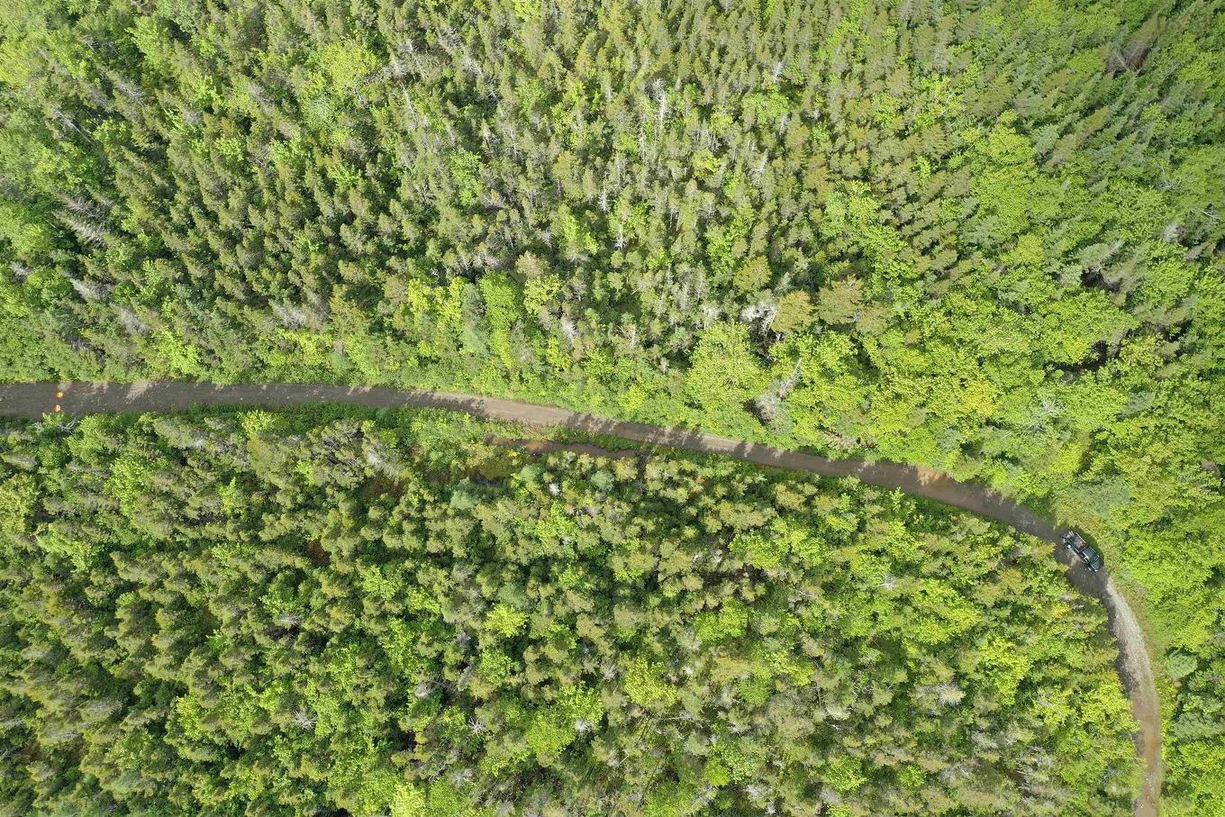 Grant 16738 Moser River North Road, Moser River, NS