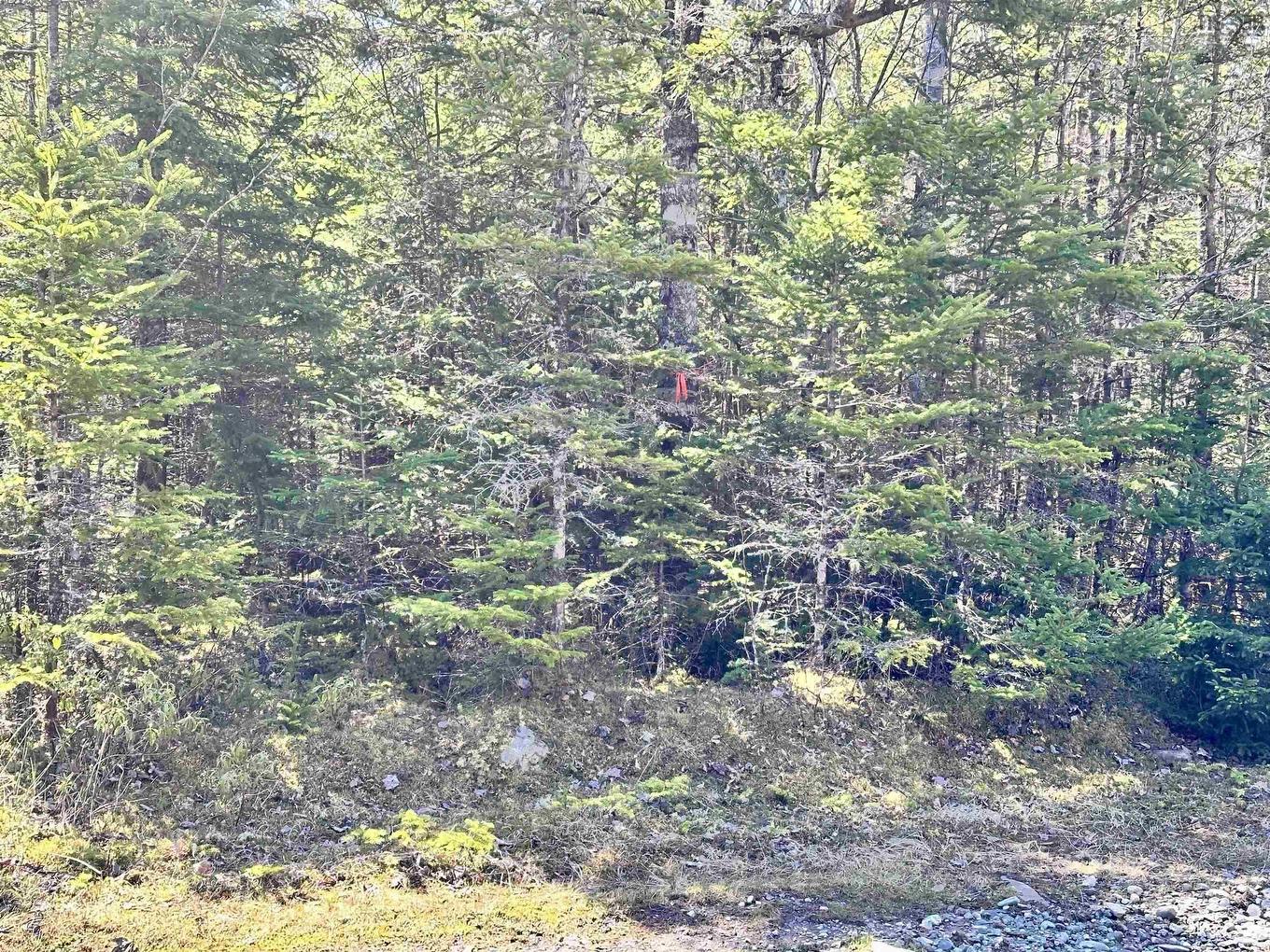 Grant 16738 Moser River North Road, Moser River, NS