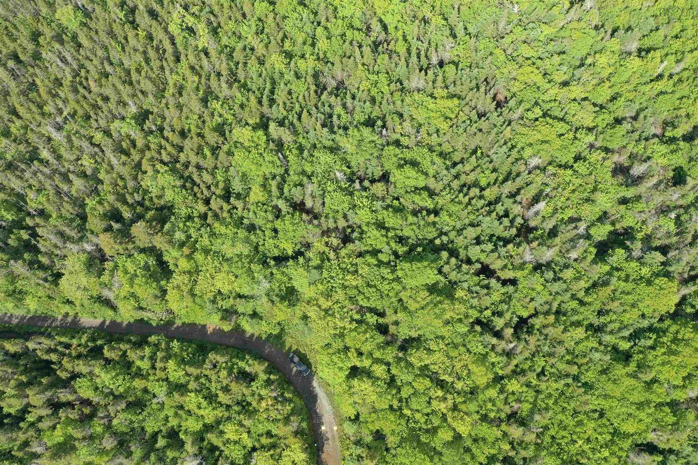 Grant 16738 Moser River North Road, Moser River, NS