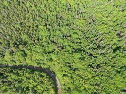 Grant 16738 Moser River North Road Moser River, NS B0J 2K0